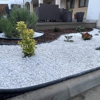 490641316_1211545250972188_4308947141285928029_n